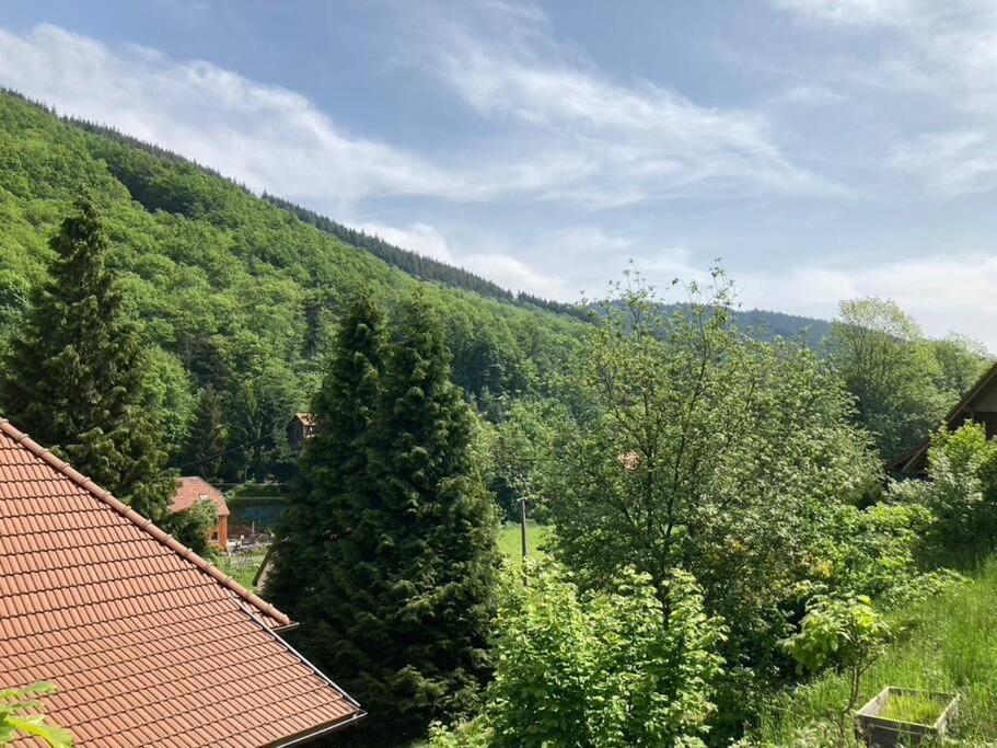 La Belle Vallee Lalaye Zewnętrze zdjęcie