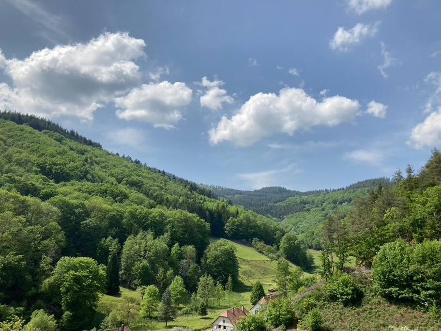 La Belle Vallee Lalaye Zewnętrze zdjęcie